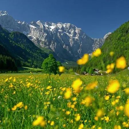 Entire Loft Close To Beautiful Logar Valley *