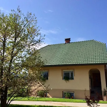 Entire Loft Close To Beautiful Logar Valley منزل للإقامة Recica ob Savinji