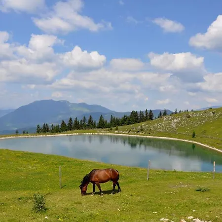 Entire Loft Close To Beautiful Logar Valley Homestay Recica ob Savinji