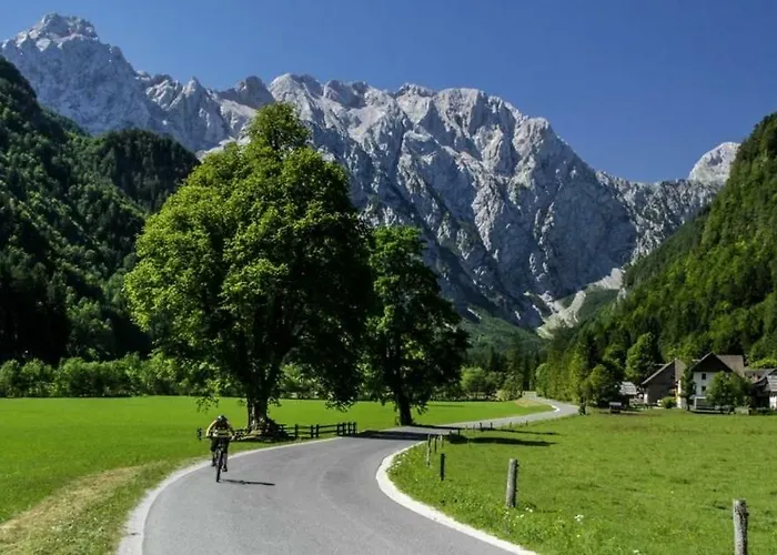 Entire Loft Close To Beautiful Logar Valley Recica ob Savinji