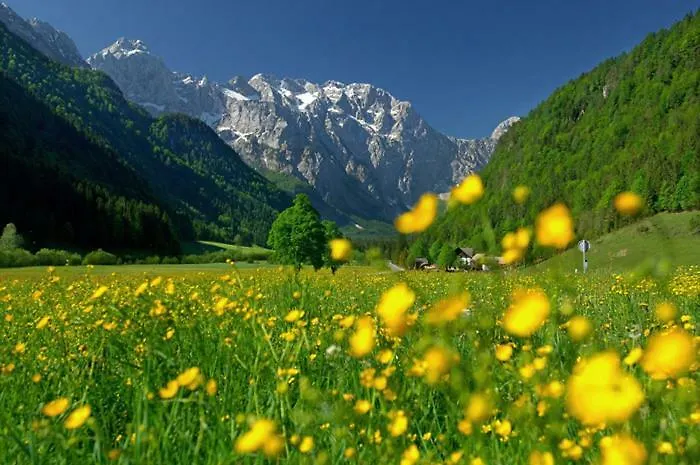 Entire Loft Close To Beautiful Logar Valley *