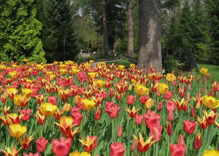 Entire Loft Close To Beautiful Logar Valley