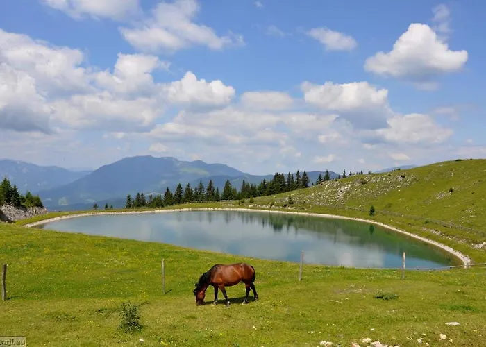 Entire Loft Close To Beautiful Logar Valley Homestay szállás Rečica ob Savinji